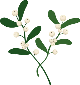Elegant Mistletoe Botanical Illustration Festive Holiday Clipart Design