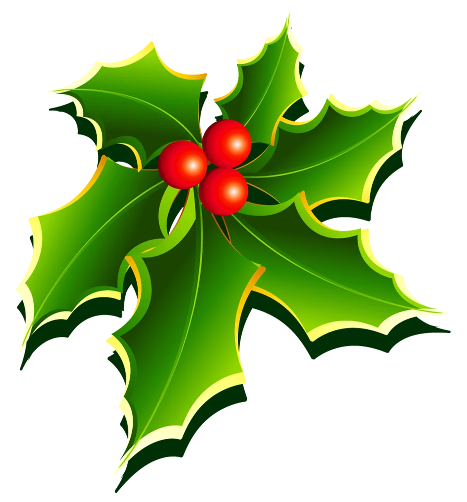 Festive Holly and Berries Clipart - Classic Christmas Botanical Illustration