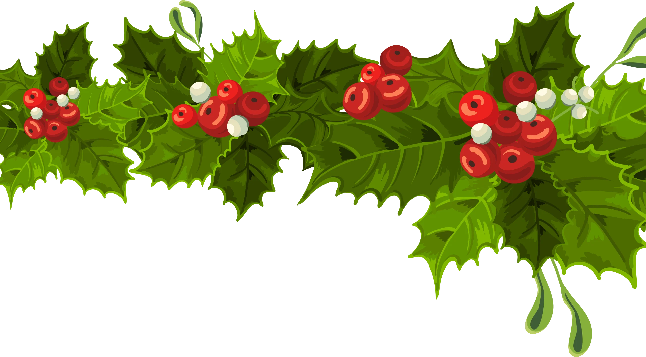 Festive Holly and Berry Branch Clipart: A Classic Christmas Decoration Design