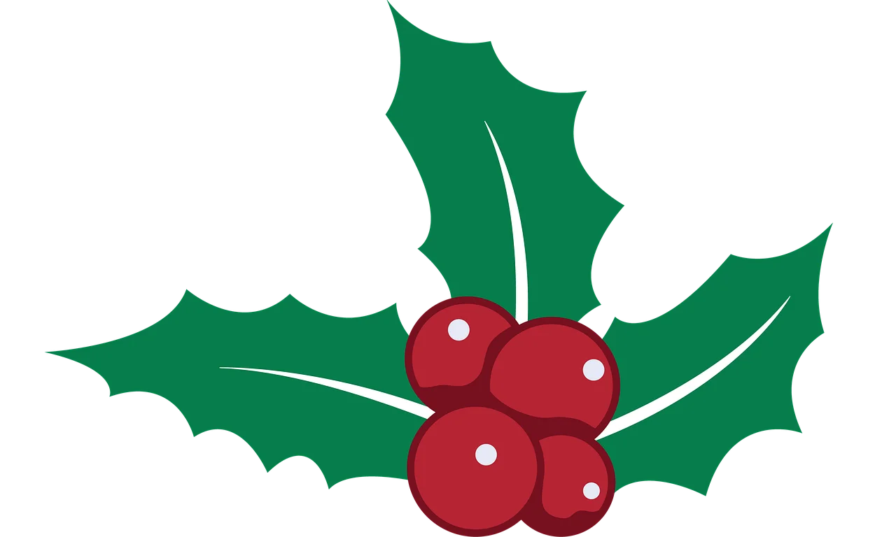 Traditional Christmas Holly and Berries Festive Seasonal Clipart Design Element