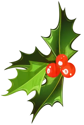 Traditional Holly and Berries Christmas Festive Seasonal Clipart Design
