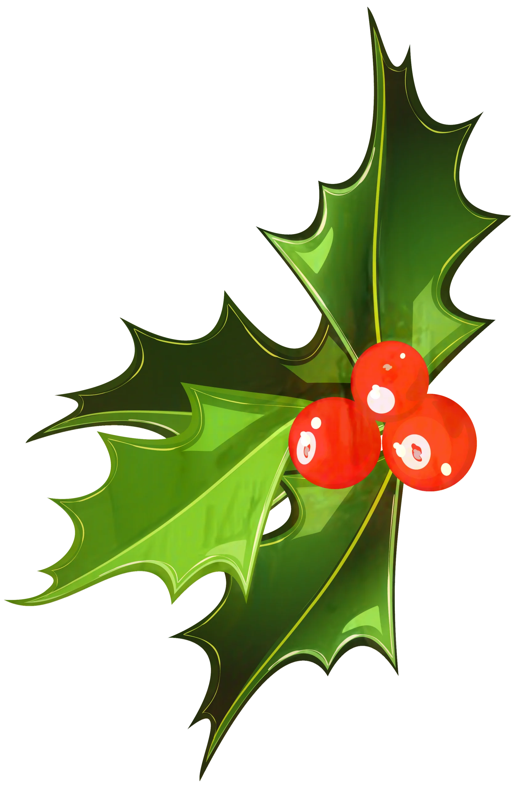 Traditional Holly and Berries Christmas Festive Seasonal Clipart Design
