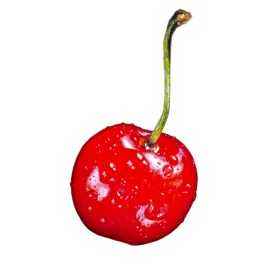 Glossy Red Cherry Clipart with Glistening Water Droplets on Slender Stem