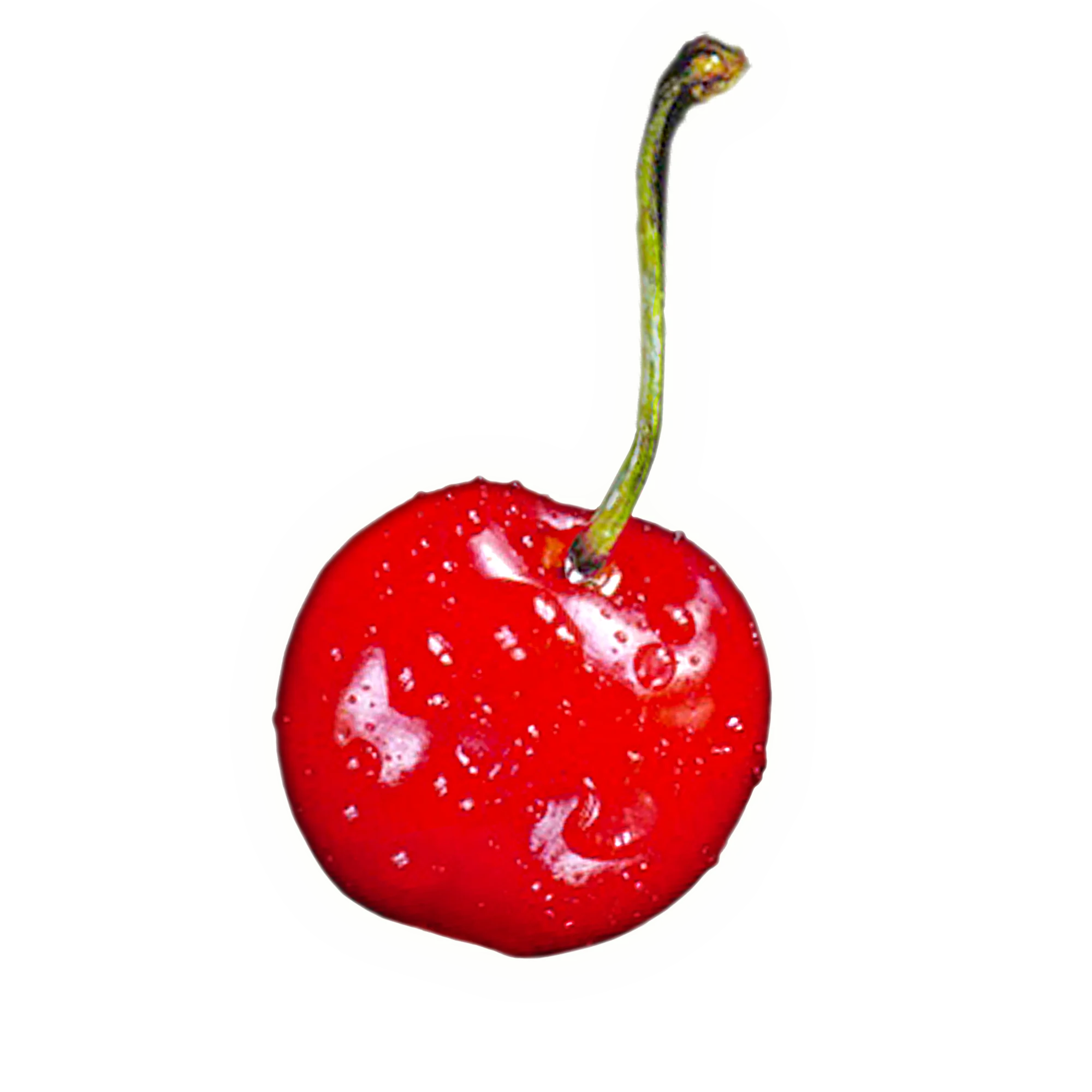 Glossy Red Cherry Clipart with Glistening Water Droplets on Slender Stem