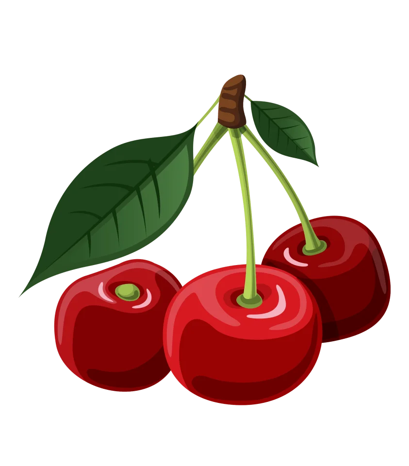 Luscious Red Cherries Clipart: Glossy Fruit Illustration with Stems and Leaf