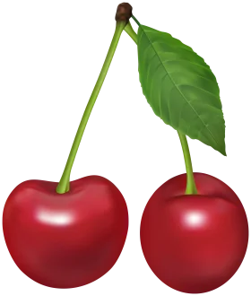 Luscious Red Cherries Clipart: Realistic Fruit Illustration with Leaf and Stem