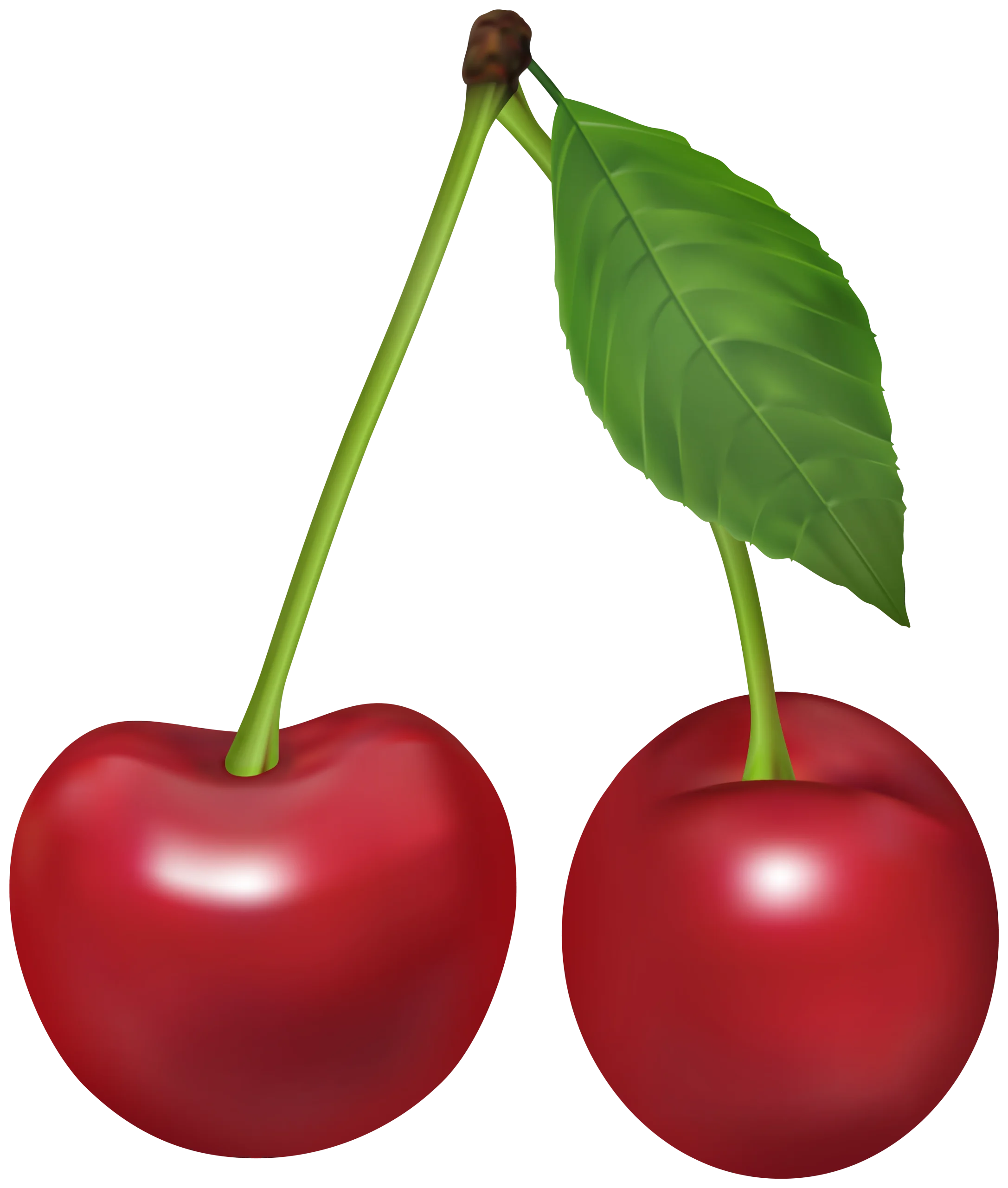 Luscious Red Cherries Clipart: Realistic Fruit Illustration with Leaf and Stem