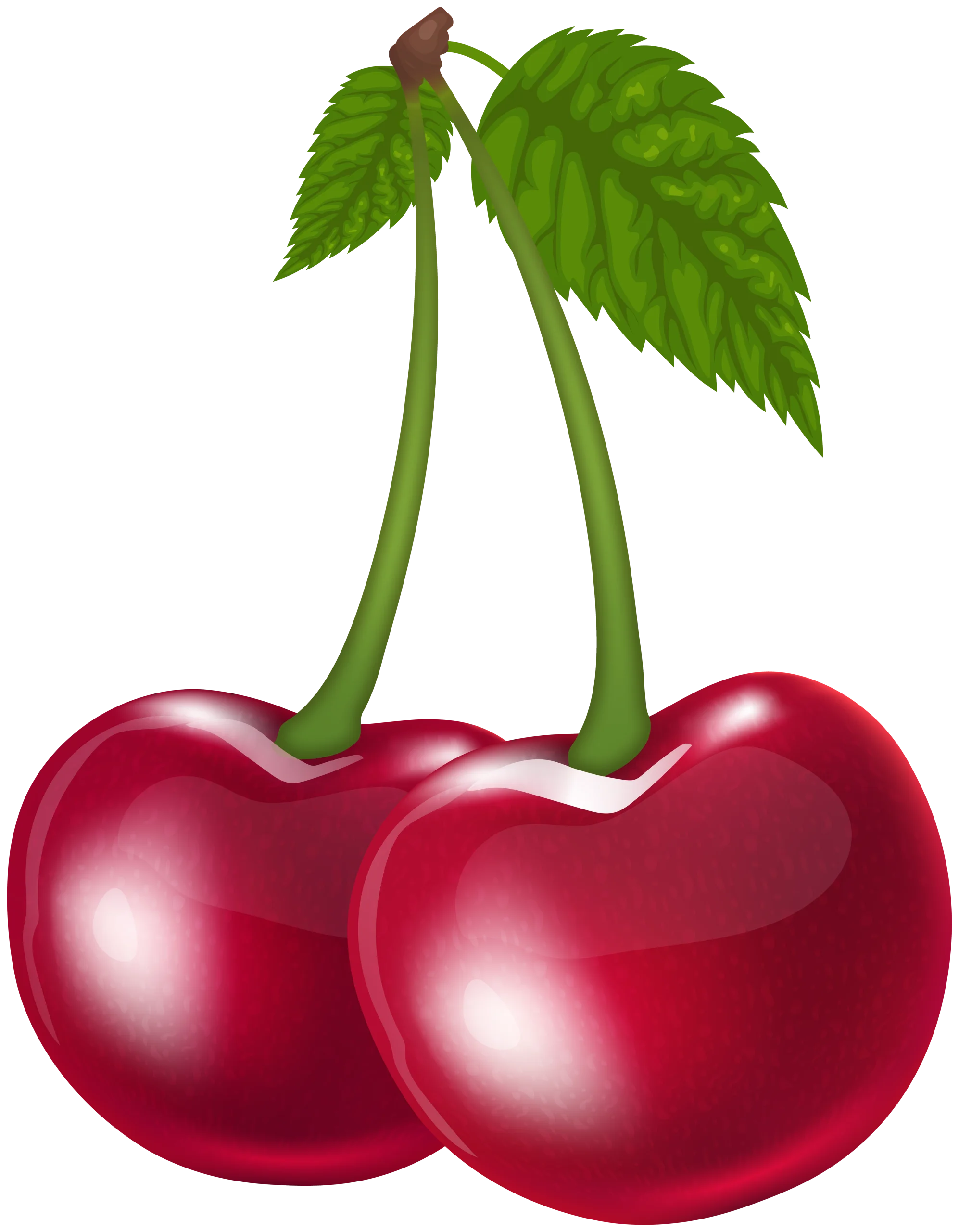 Luscious Red Cherries Clipart with Glossy Finish and Verdant Leaves