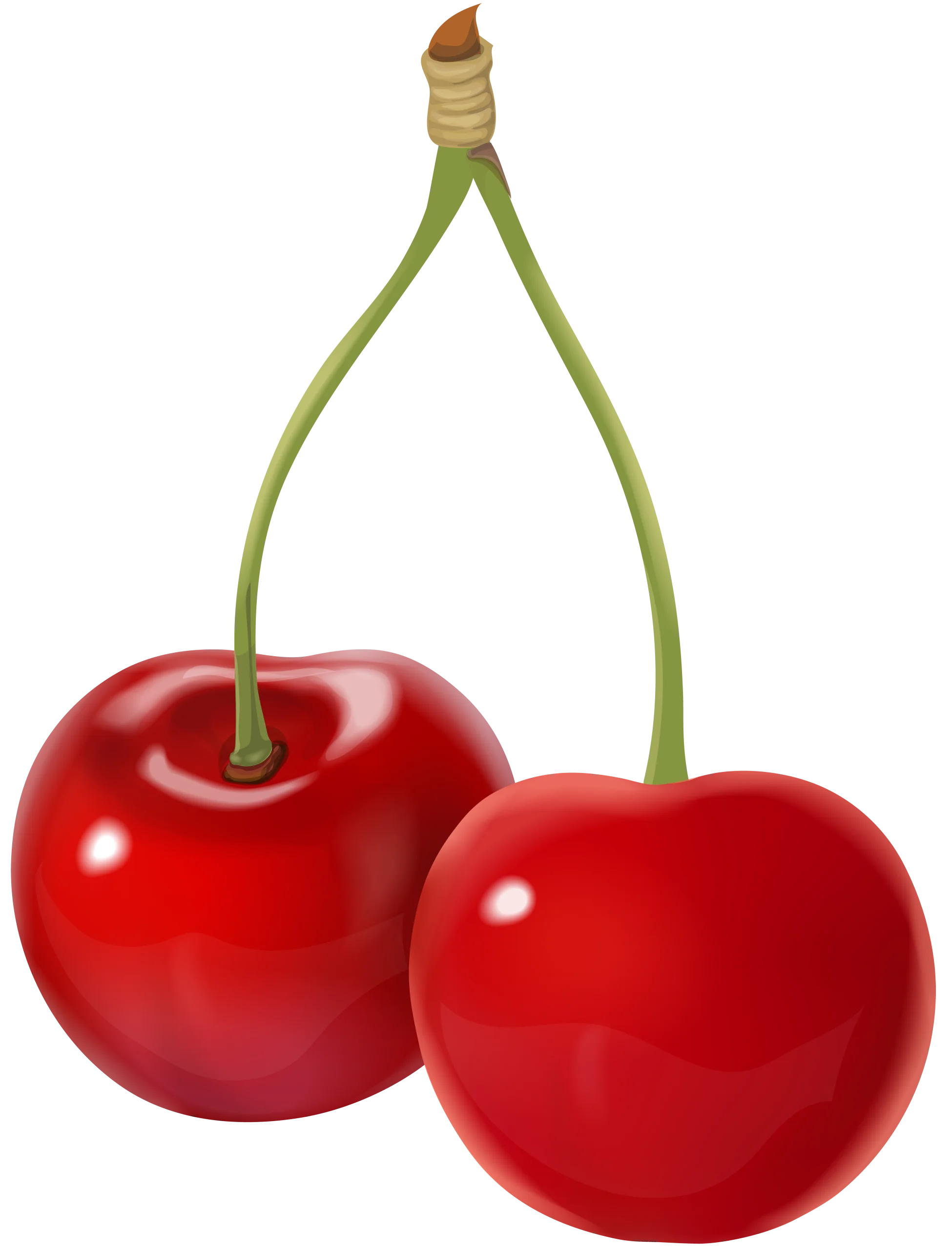 Luscious Ripe Red Cherries Clipart Illustration with Glossy Texture