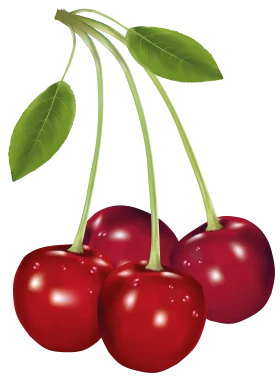 Luscious Ripe Red Cherries Hanging with Green Stems Clipart Illustration