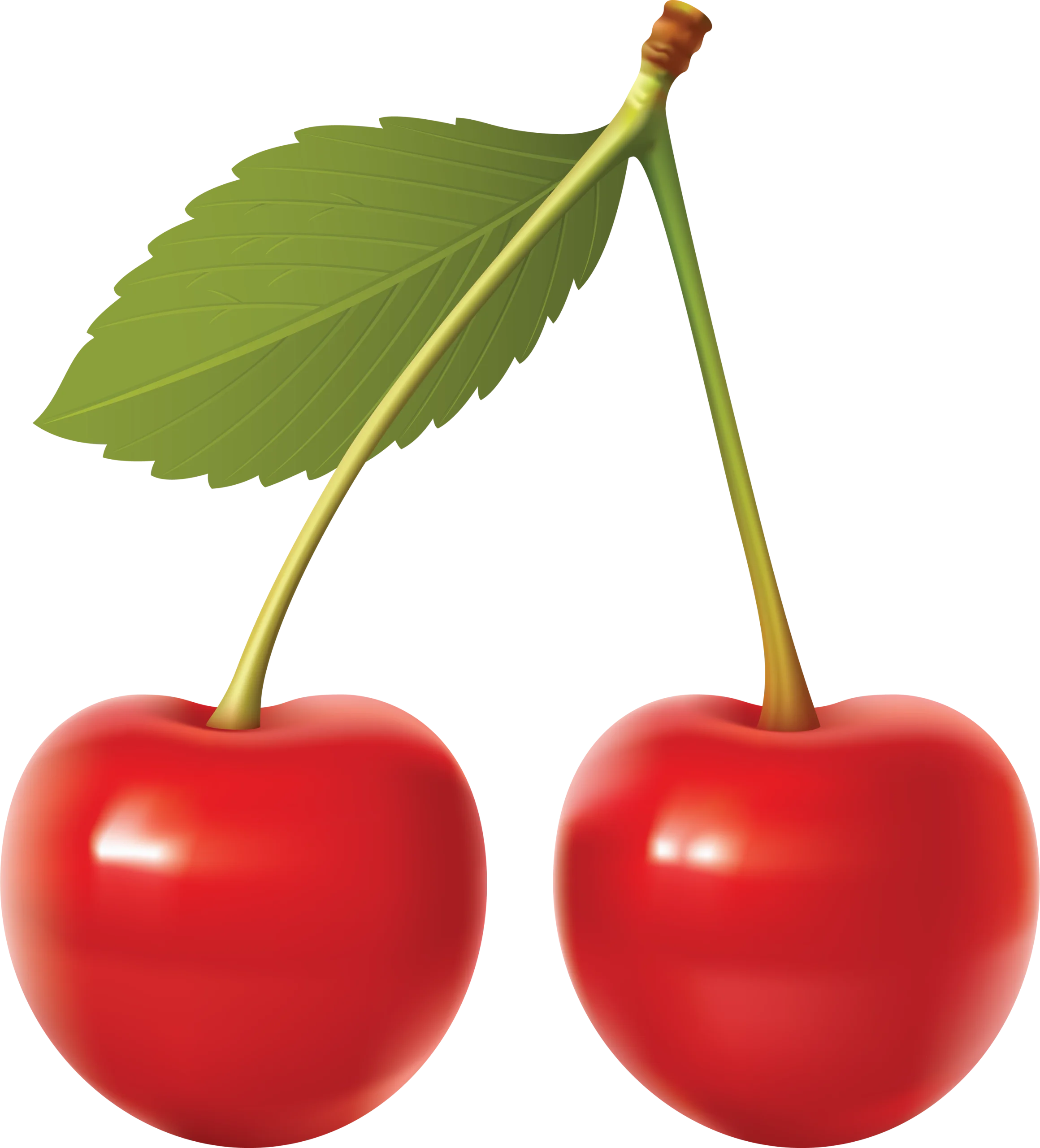 Luscious Twin Cherries with Green Leaf Clipart: A Delightful Fruit Illustration