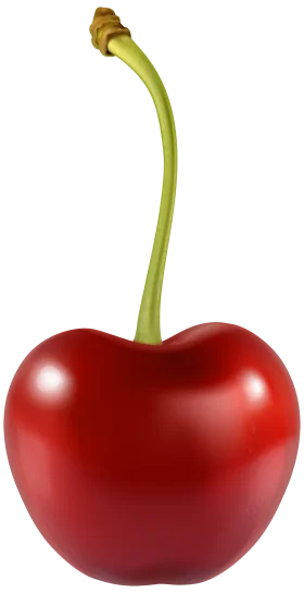 Photorealistic Glossy Red Cherry Clipart with Elegant Curved Stem