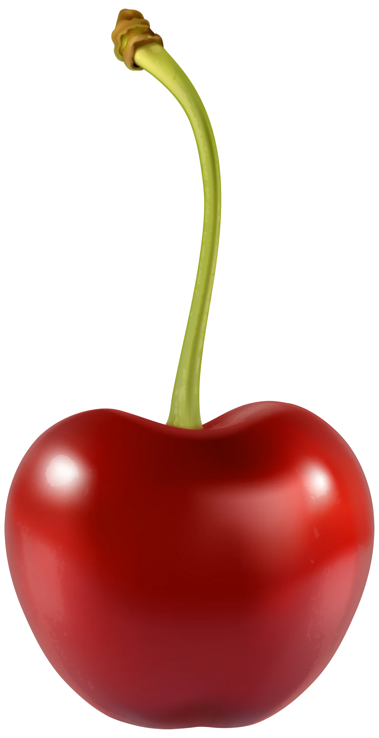 Photorealistic Glossy Red Cherry Clipart with Elegant Curved Stem