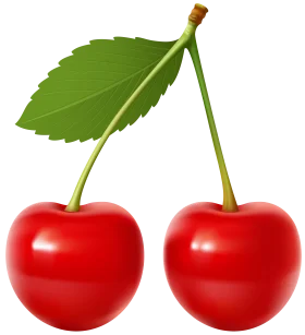 Realistic Red Cherry Clipart with Green Leaf on Slender Stems