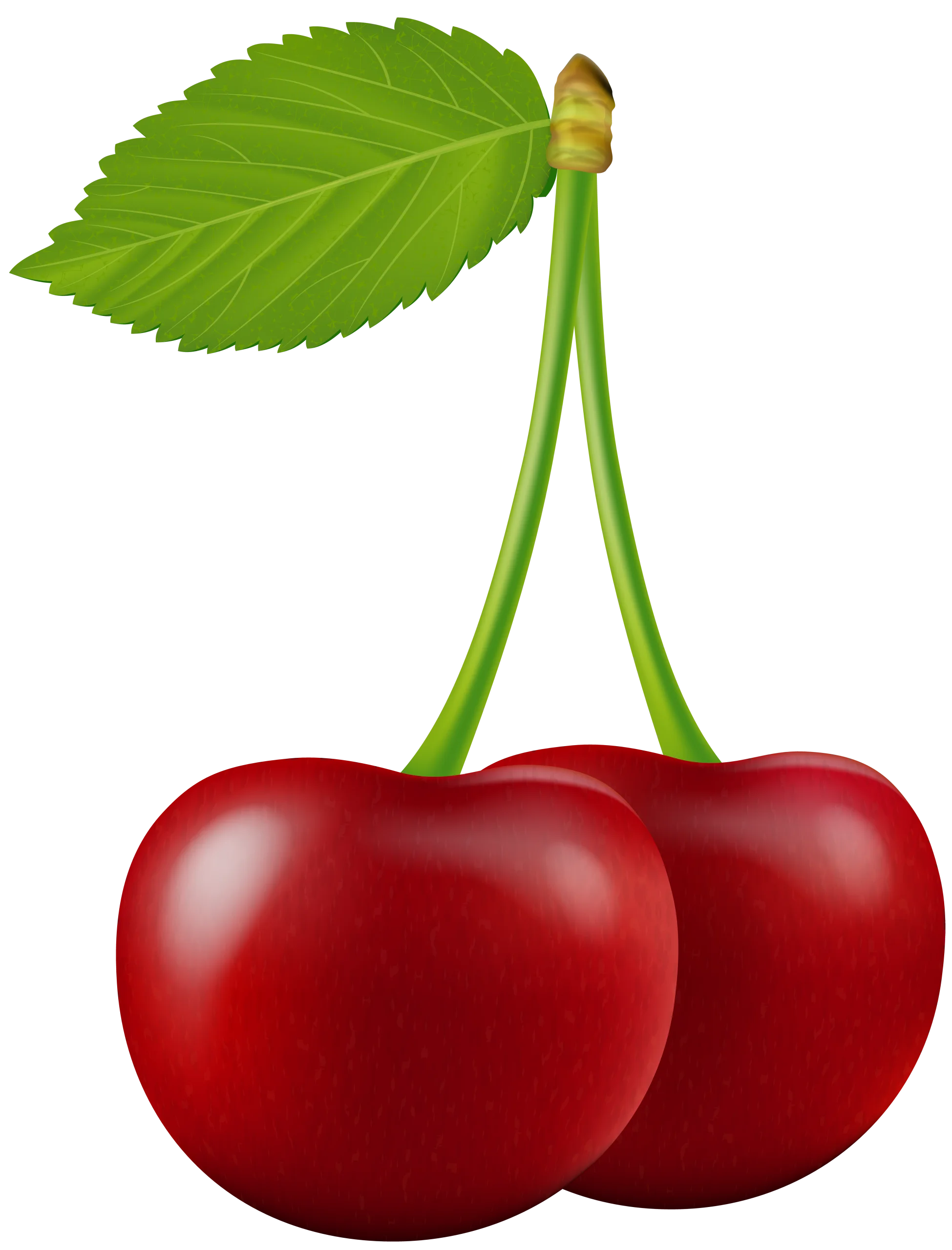 Ripe Red Cherries Clipart: Glossy Fruit with Delicate Green Leaf and Stem