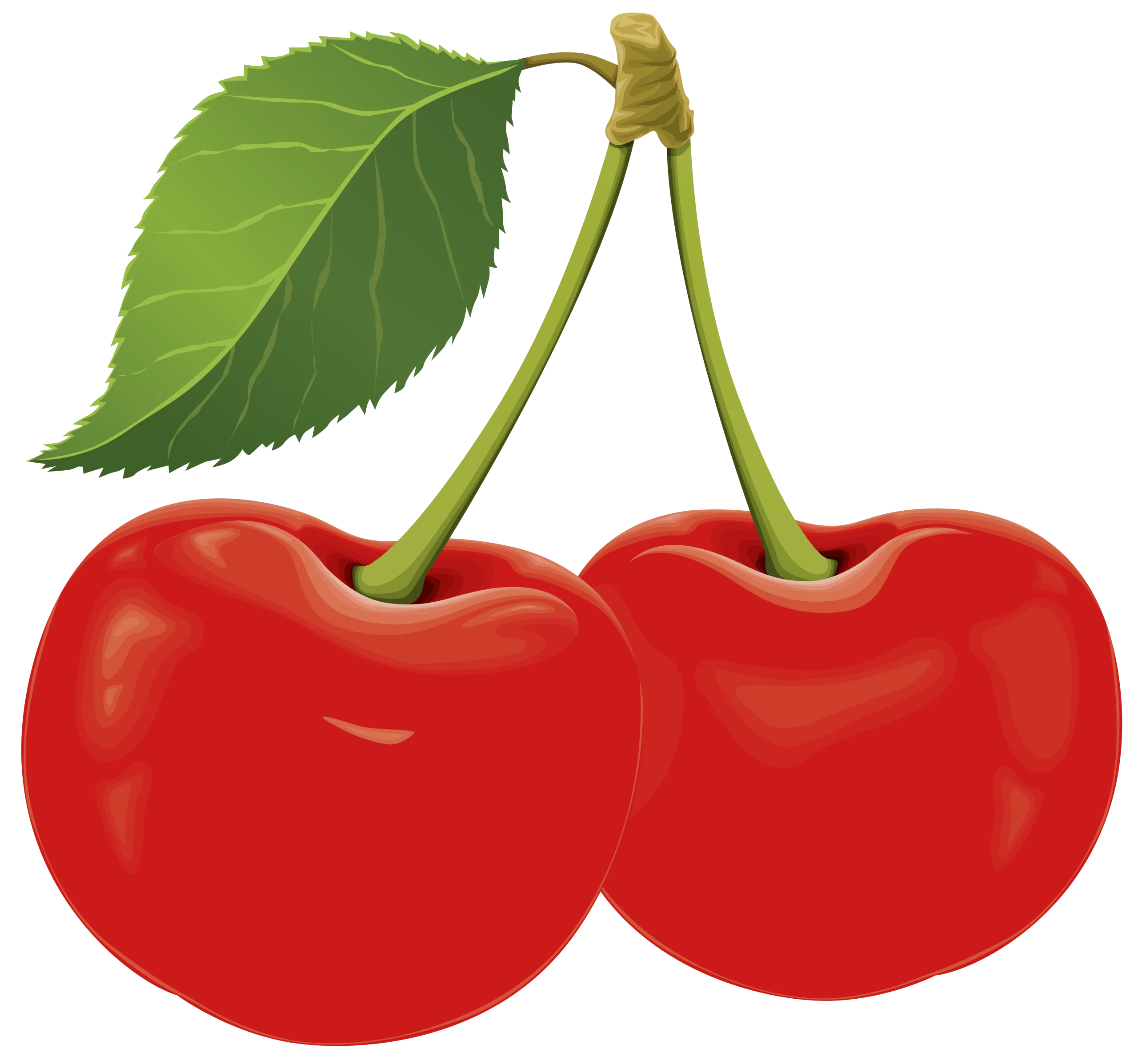 Ripe Red Cherries Clipart - Luscious Fruit Illustration with Glossy Texture