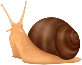 Elegant Realistic Garden Snail Clipart with Soft Warm Color Palette