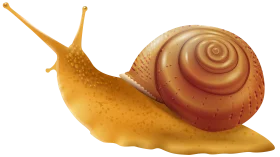Golden-Hued Garden Dweller Snail Clipart Illustration with Spiral Shell