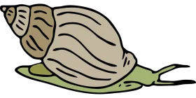 Elegant Seashell-Inspired Snail Clipart Illustration with Soft Earth Tones