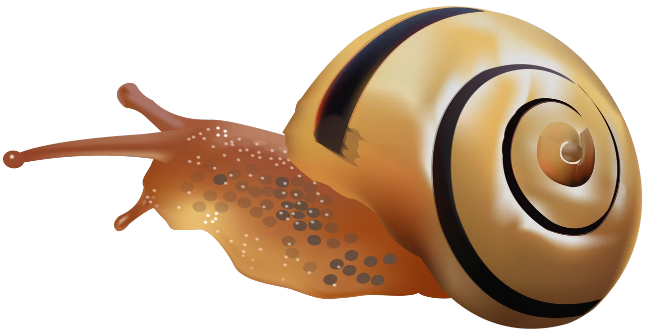 Realistic Golden and Brown Striped Snail Clipart with Detailed Shell Design