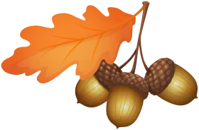 Autumn's Golden Harvest: Rustic Oak Leaf and Acorn Clipart Illustration