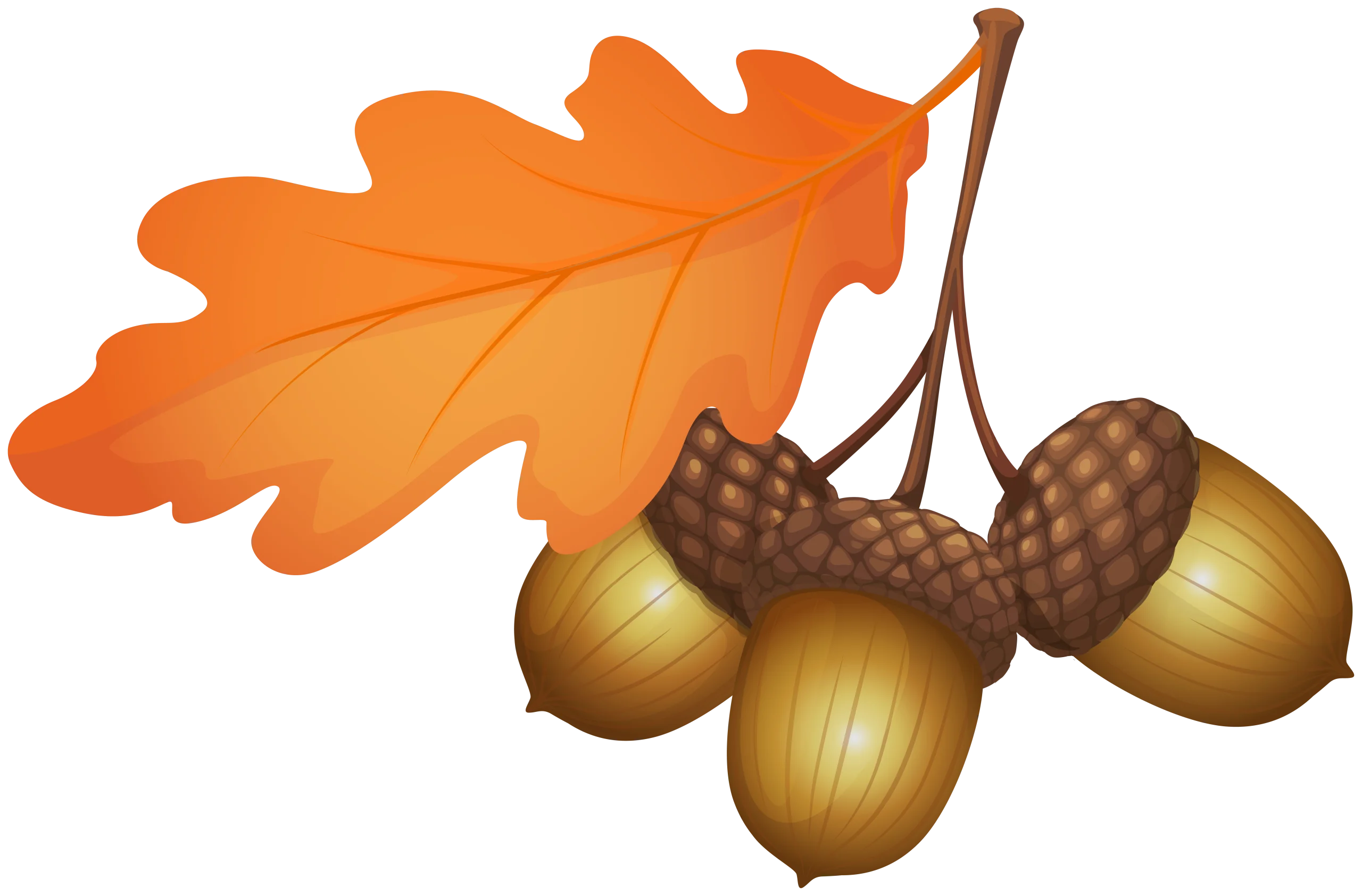 Autumn's Golden Harvest: Rustic Oak Leaf and Acorn Clipart Illustration