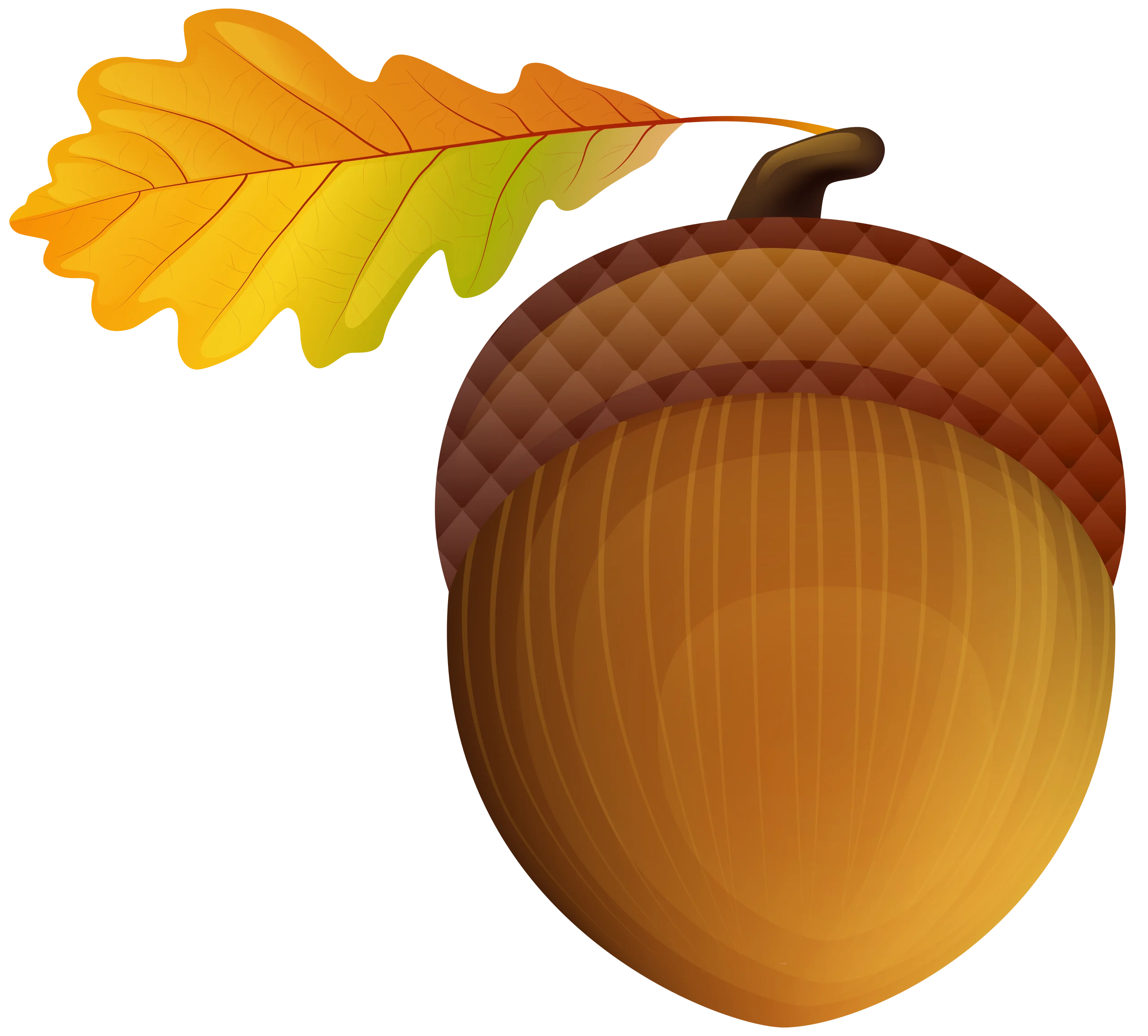 Autumn's Treasure: Detailed Oak Acorn and Golden Leaf Clipart Design