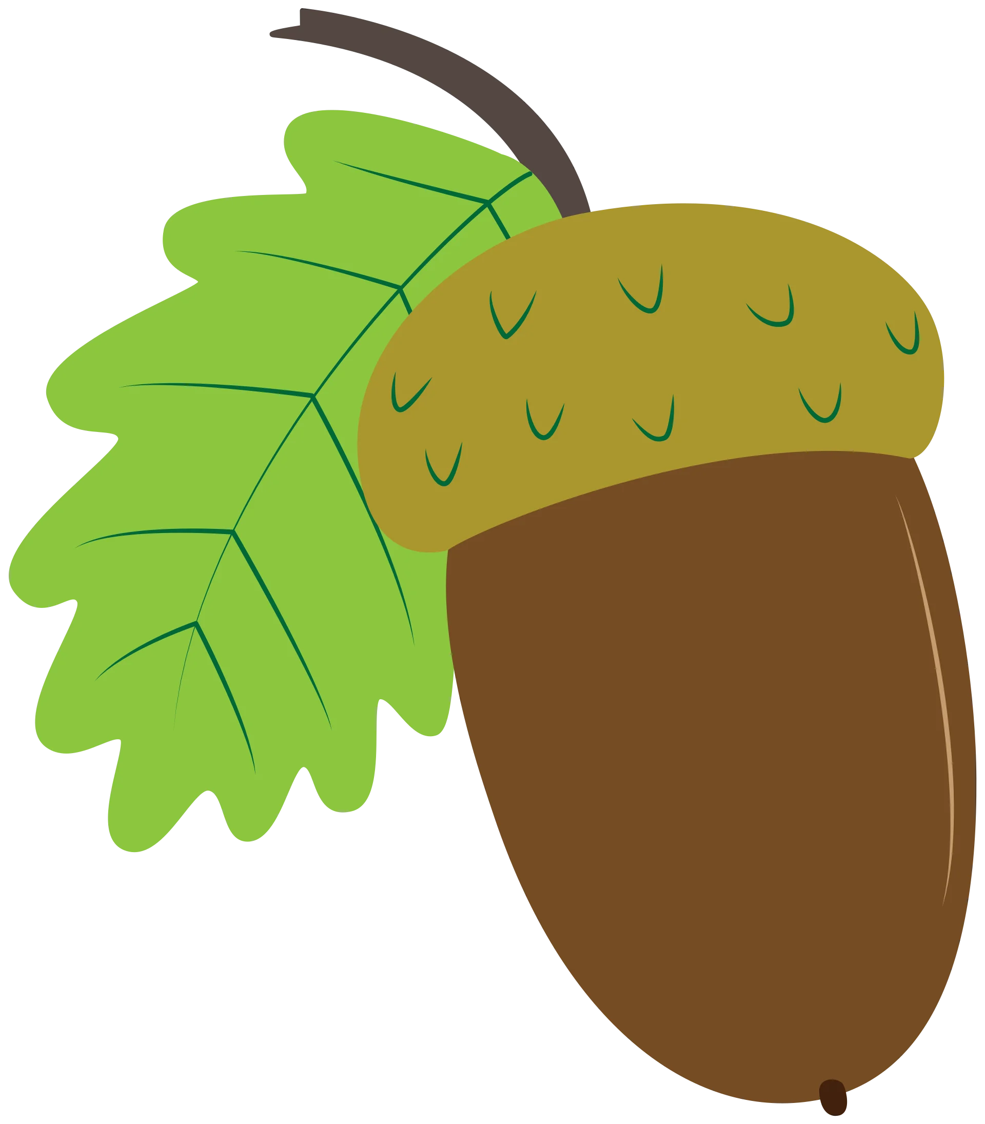 Charming Autumn Acorn and Leaf Clipart: Nature's Delicate Design