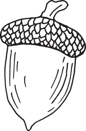 Charming Hand-Drawn Acorn Clipart with Intricate Scale-Like Texture Design