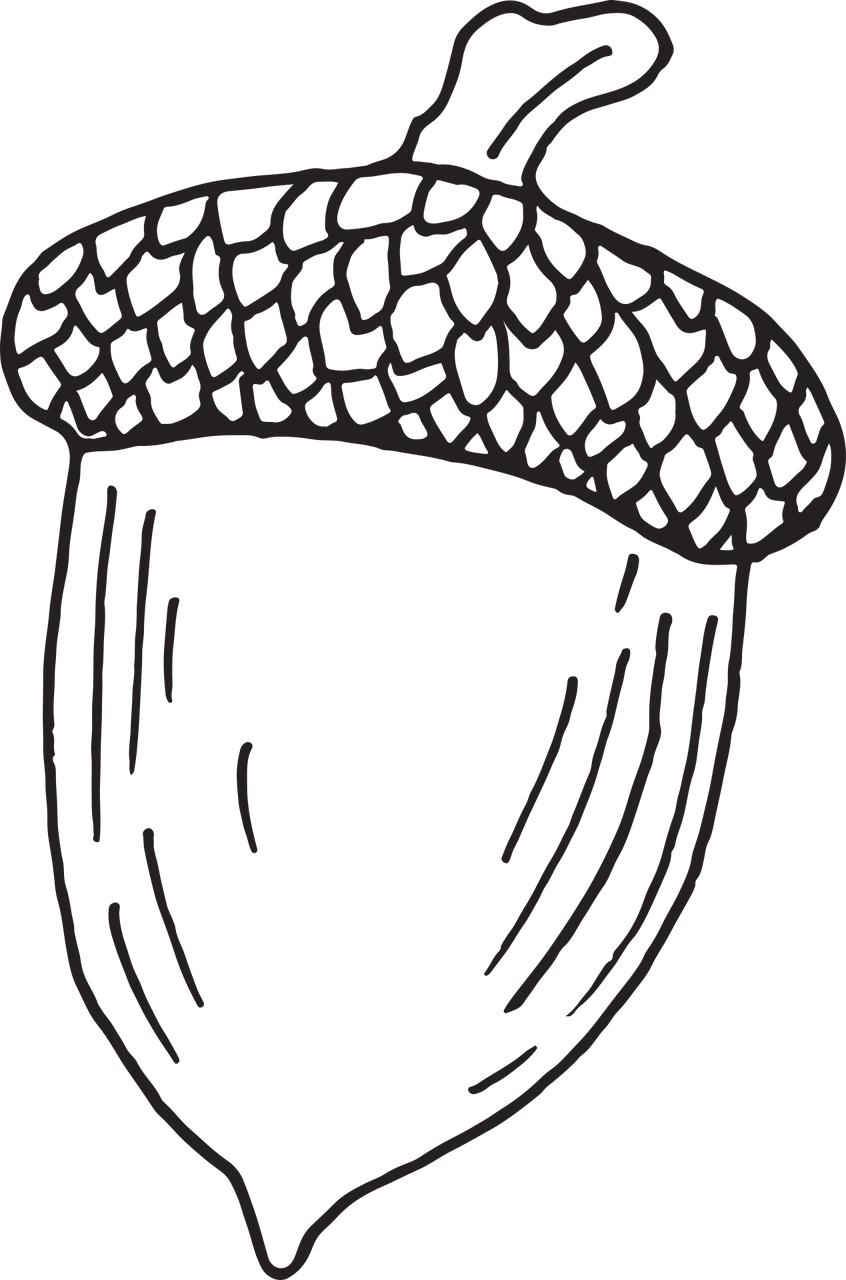 Charming Hand-Drawn Acorn Clipart with Intricate Scale-Like Texture Design