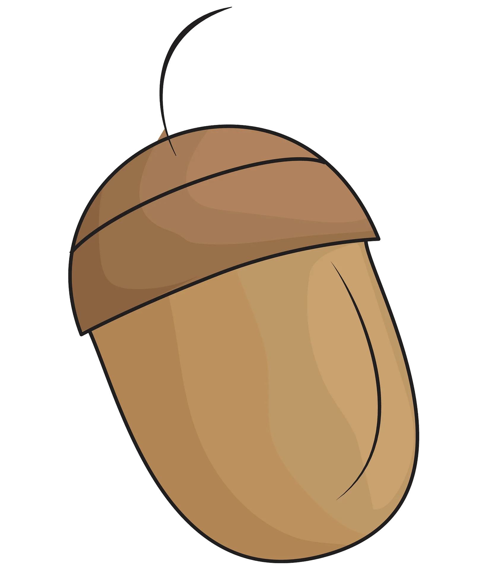 Charming Woodland Acorn Clipart: A Simple and Elegant Nature-Inspired Illustration