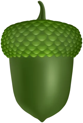 Detailed Green Acorn Clipart with Textured Cap and Smooth Surface Illustration