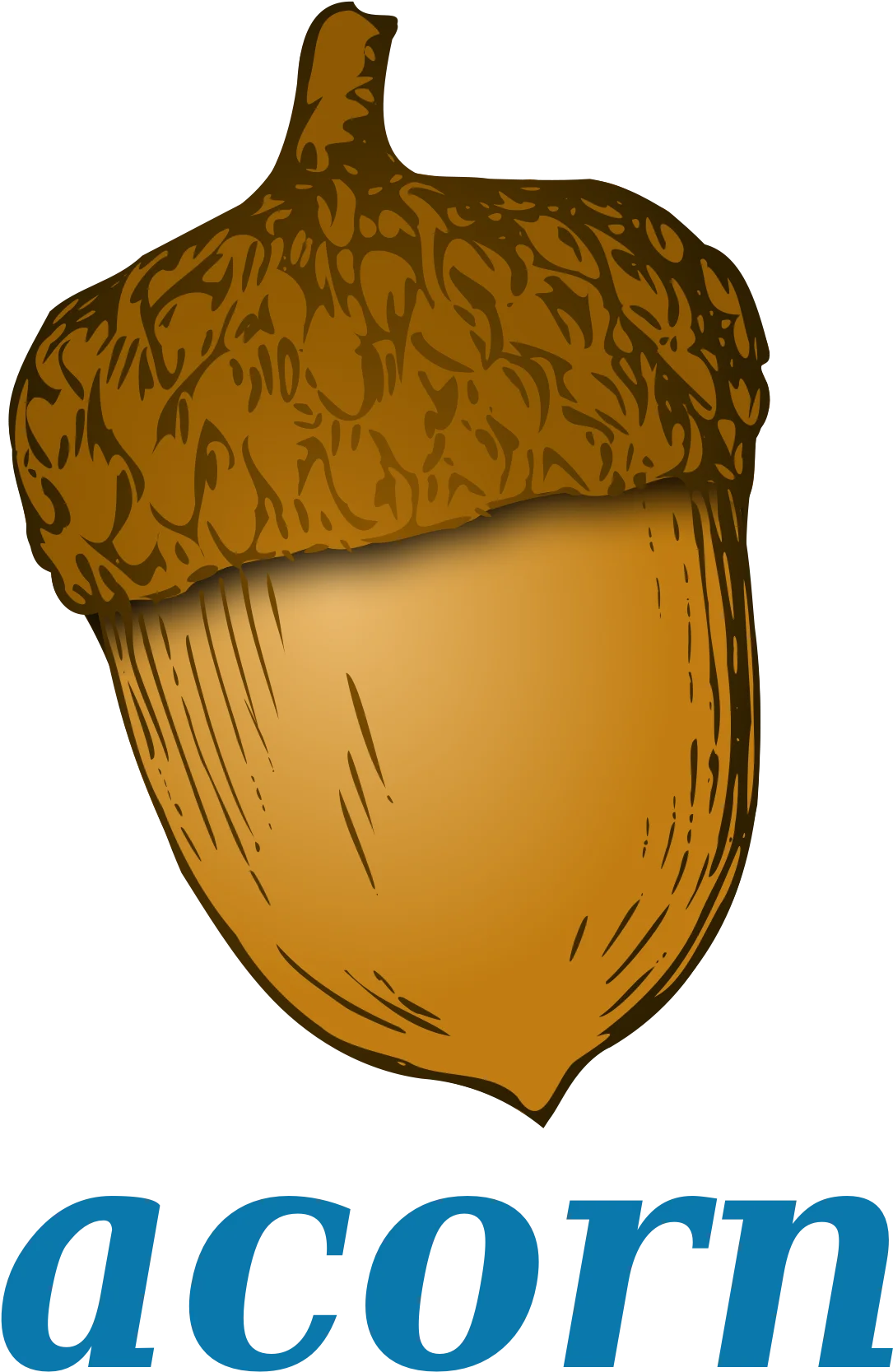 Detailed Realistic Autumn Acorn Clipart with Textured Surface and Natural Coloration