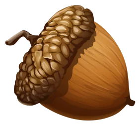 Detailed Realistic Autumn Oak Seed Acorn Clipart with Textured Cap