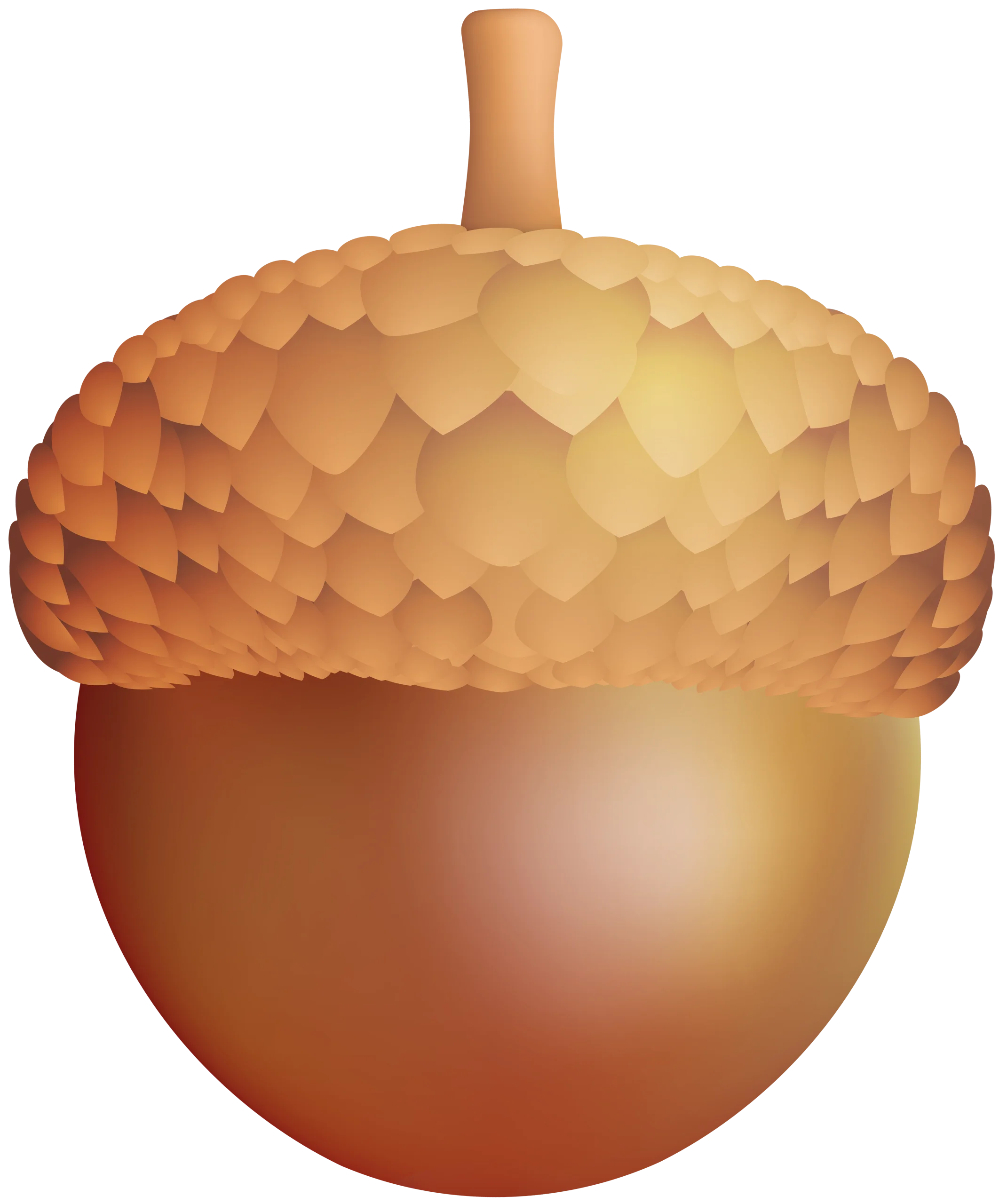 Detailed Warm-Toned Botanical Acorn Clipart with Textured Gradient Surface