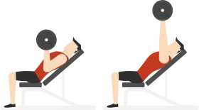 Incline Barbell Bench Press Exercise Technique Fitness Clipart Illustration