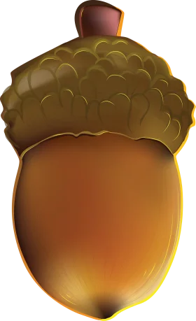 Realistic Golden Brown Acorn Clipart with Textured Cap and Smooth Nut Surface