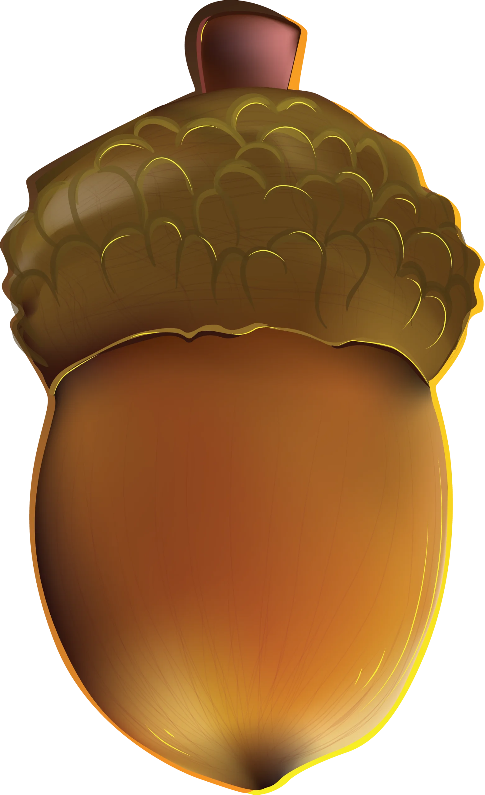 Realistic Golden Brown Acorn Clipart with Textured Cap and Smooth Nut Surface