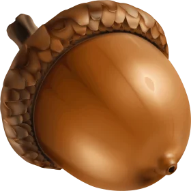 Realistic Golden Brown Acorn Clipart with Textured Detailed Cap and Smooth Surface