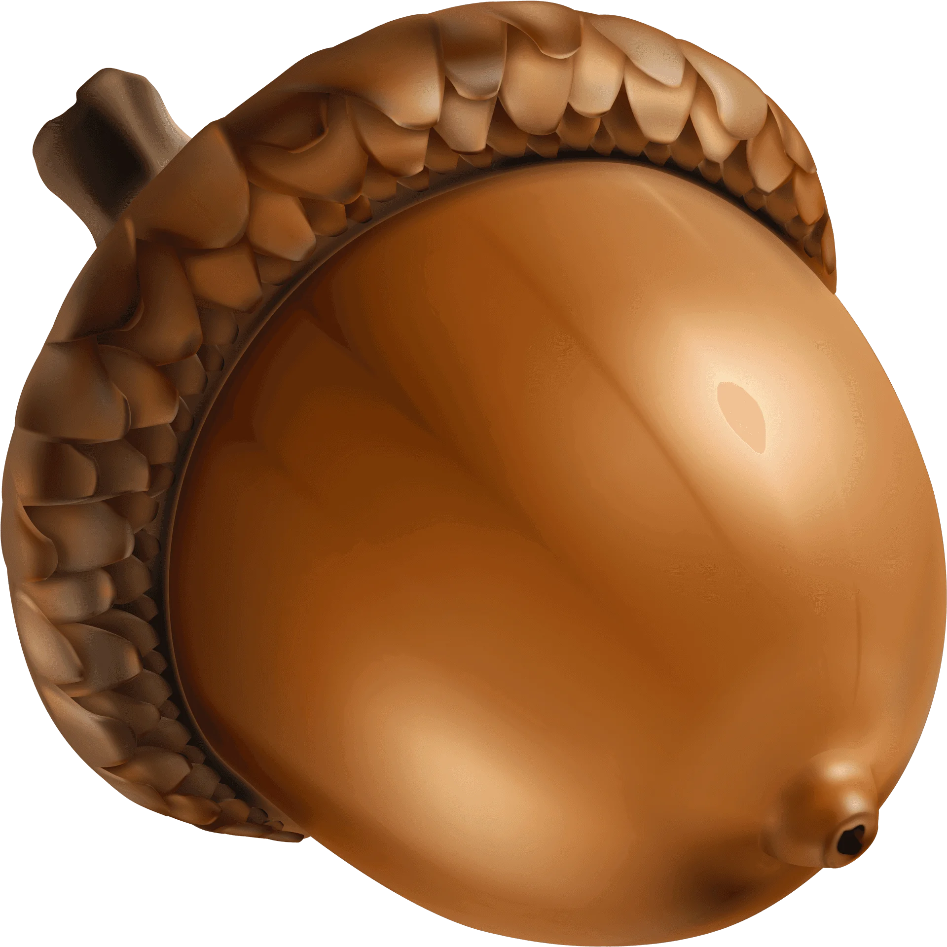 Realistic Golden Brown Acorn Clipart with Textured Detailed Cap and Smooth Surface