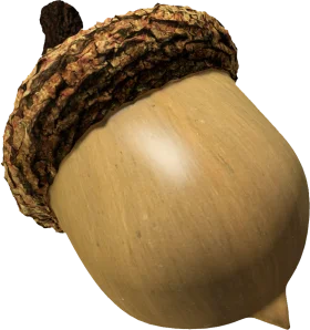 Realistic Wooden Acorn Clipart with Textured Bark-Like Cap and Smooth Surface