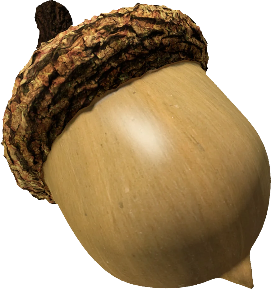 Realistic Wooden Acorn Clipart with Textured Bark-Like Cap and Smooth Surface