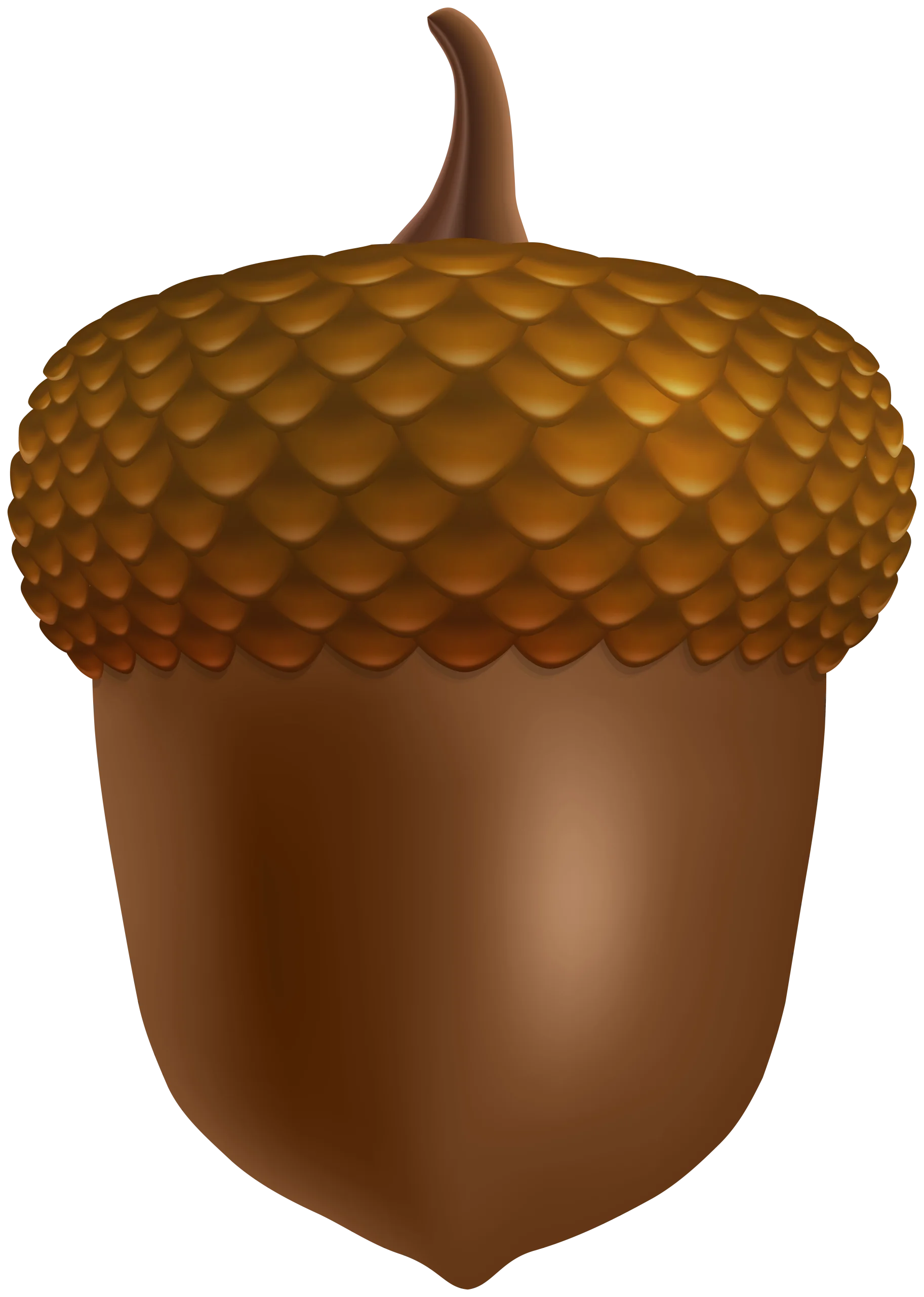 Realistic Wooden-Toned Autumn Acorn Clipart with Detailed Textured Cap
