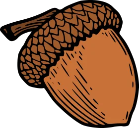 Rustic Woodland Acorn Clipart: Charming Autumn Illustration with Textured Details