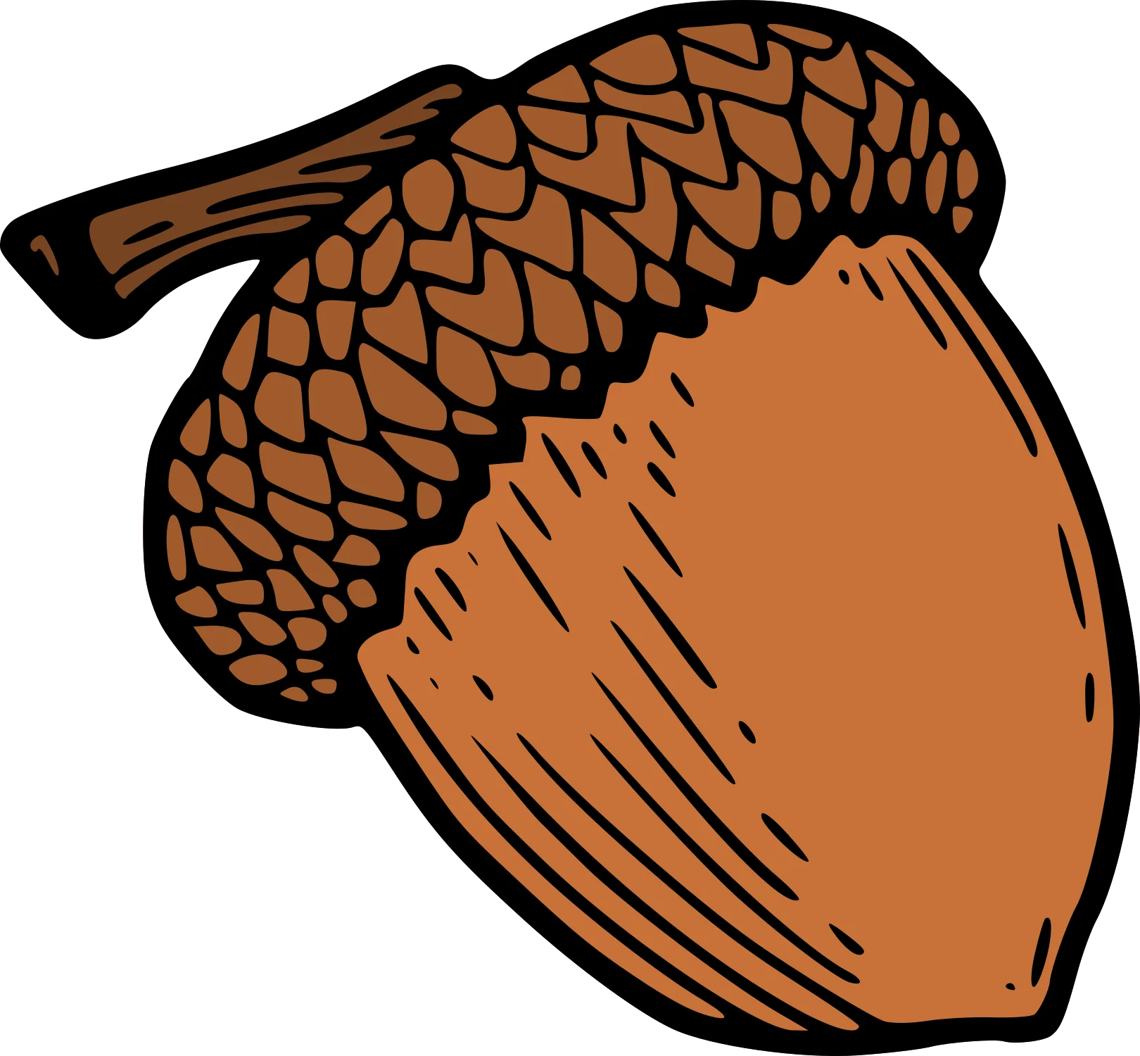 Rustic Woodland Acorn Clipart: Charming Autumn Illustration with Textured Details