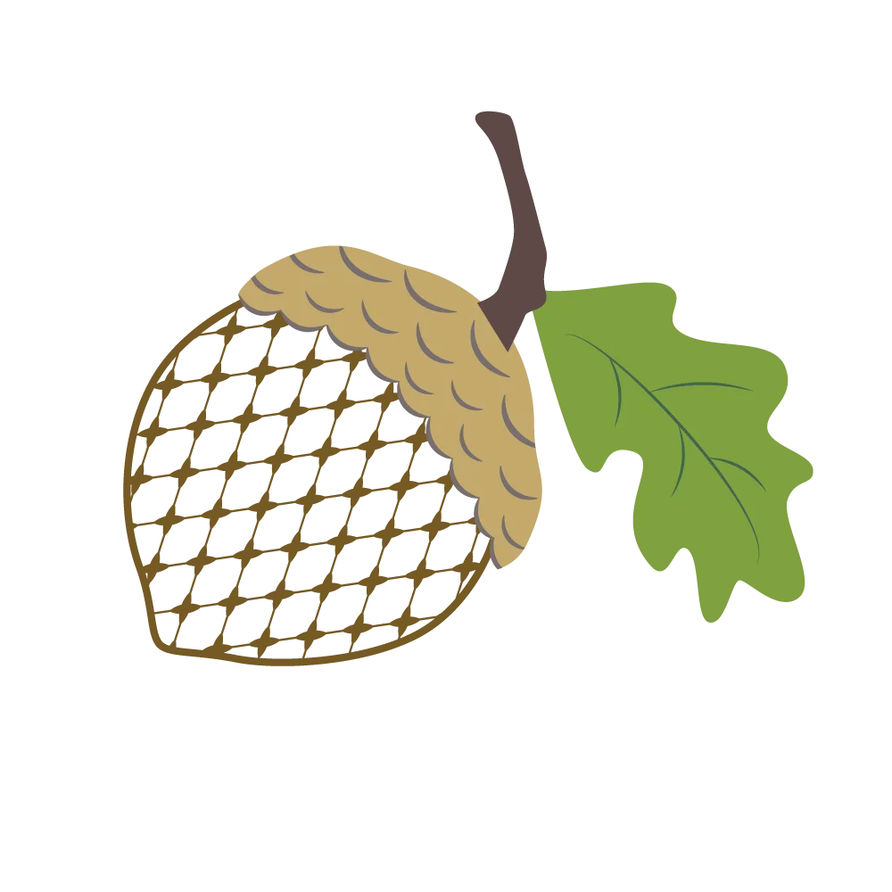 Rustic Woodland Acorn Clipart with Textured Oak Leaf and Natural Design
