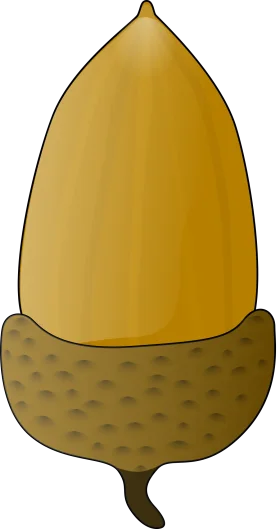 Stylized Golden Acorn Clipart with Textured Cap and Smooth Nut Body