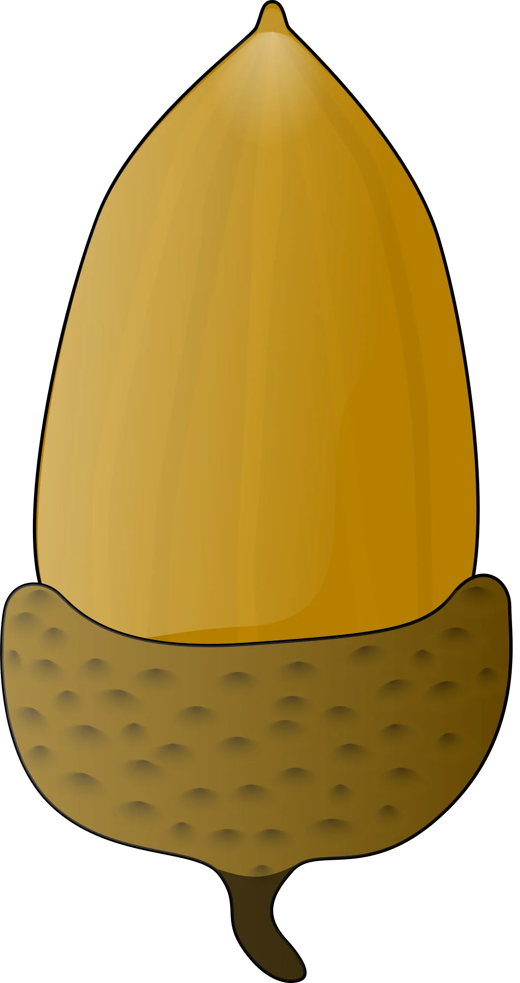 Stylized Golden Acorn Clipart with Textured Cap and Smooth Nut Body