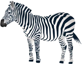 Elegant Black and White Zebra Clipart Vector Illustration with Precision Details