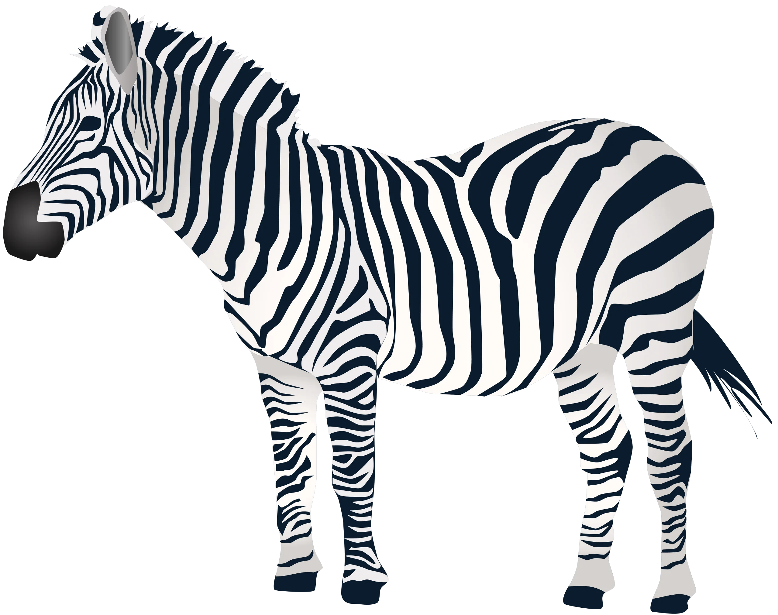 Elegant Black and White Zebra Clipart Vector Illustration with Precision Details
